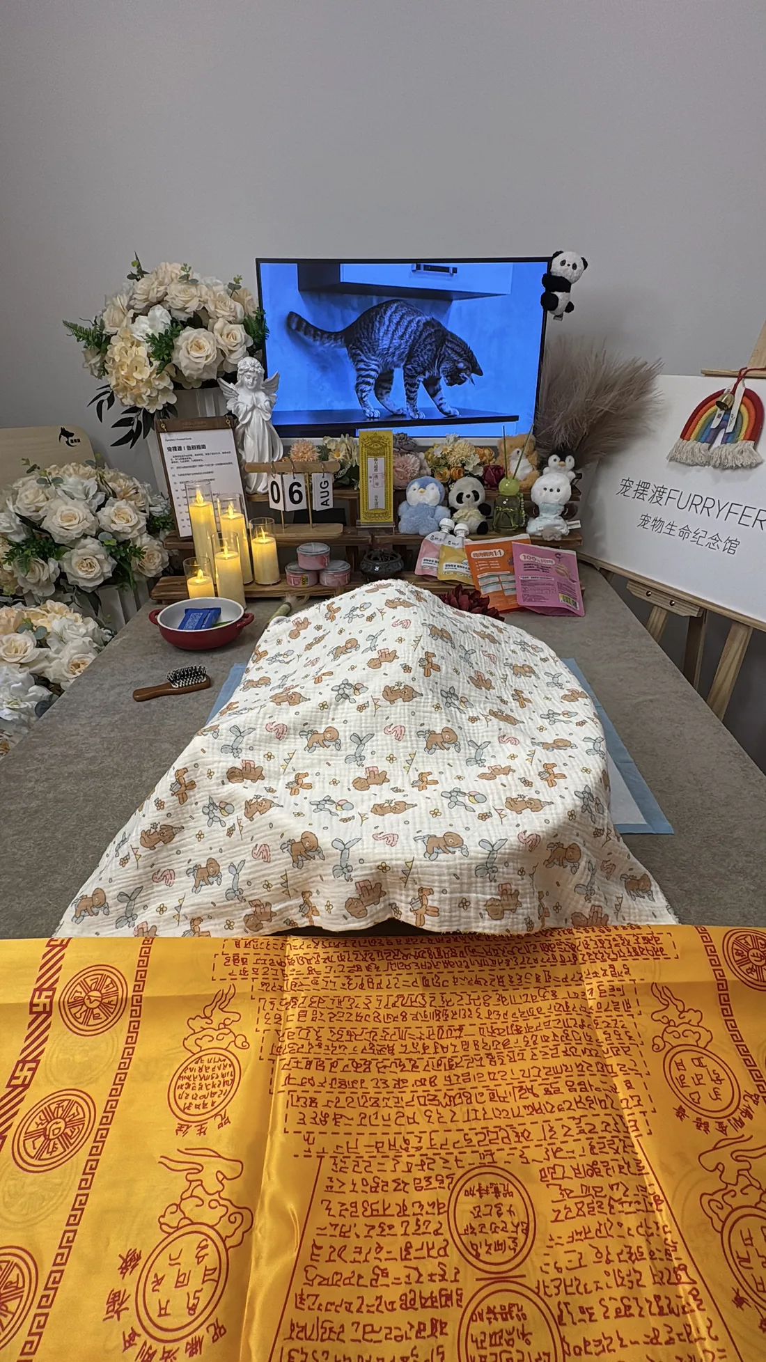 长沙宠物告别仪式中的鲜花与纪念照片